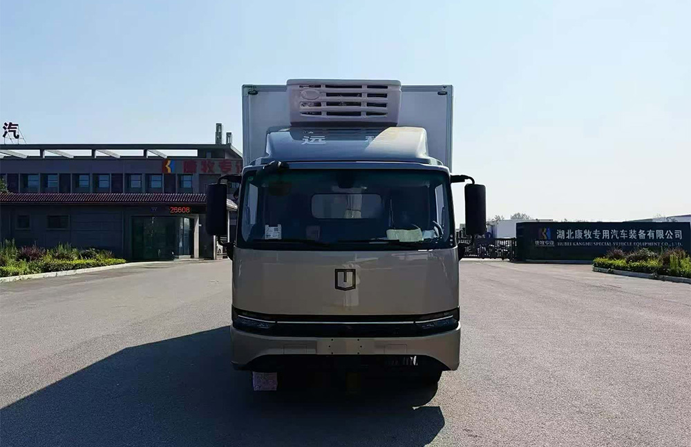 Geely Farizon T9E review